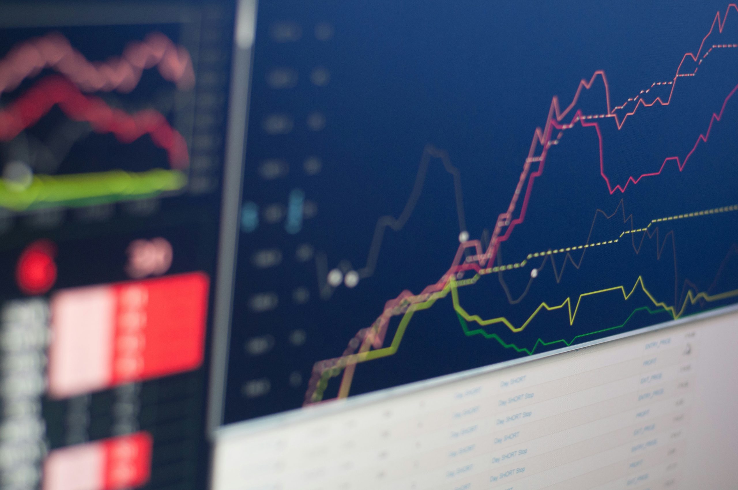 Forex Forest Forex New